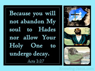 Acts 2:27 You Will Not Abandon My Soul To Hades (aqua)